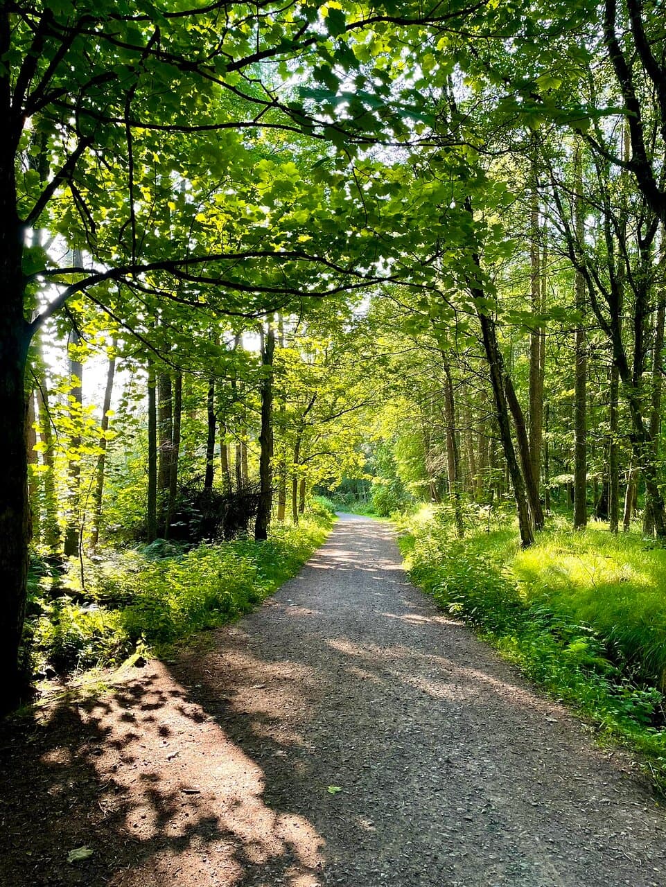 Templeton Woods