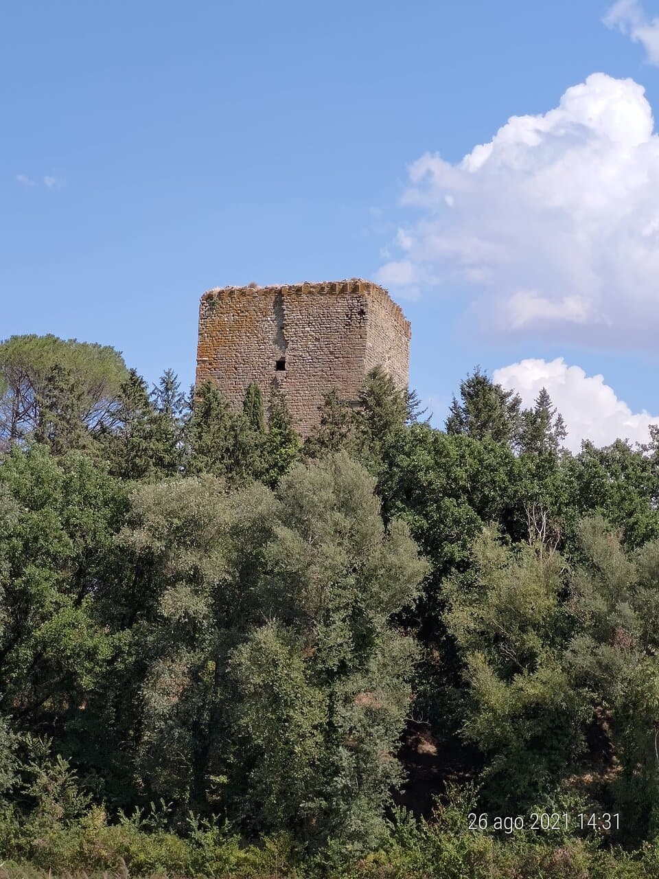 Torre Beccati