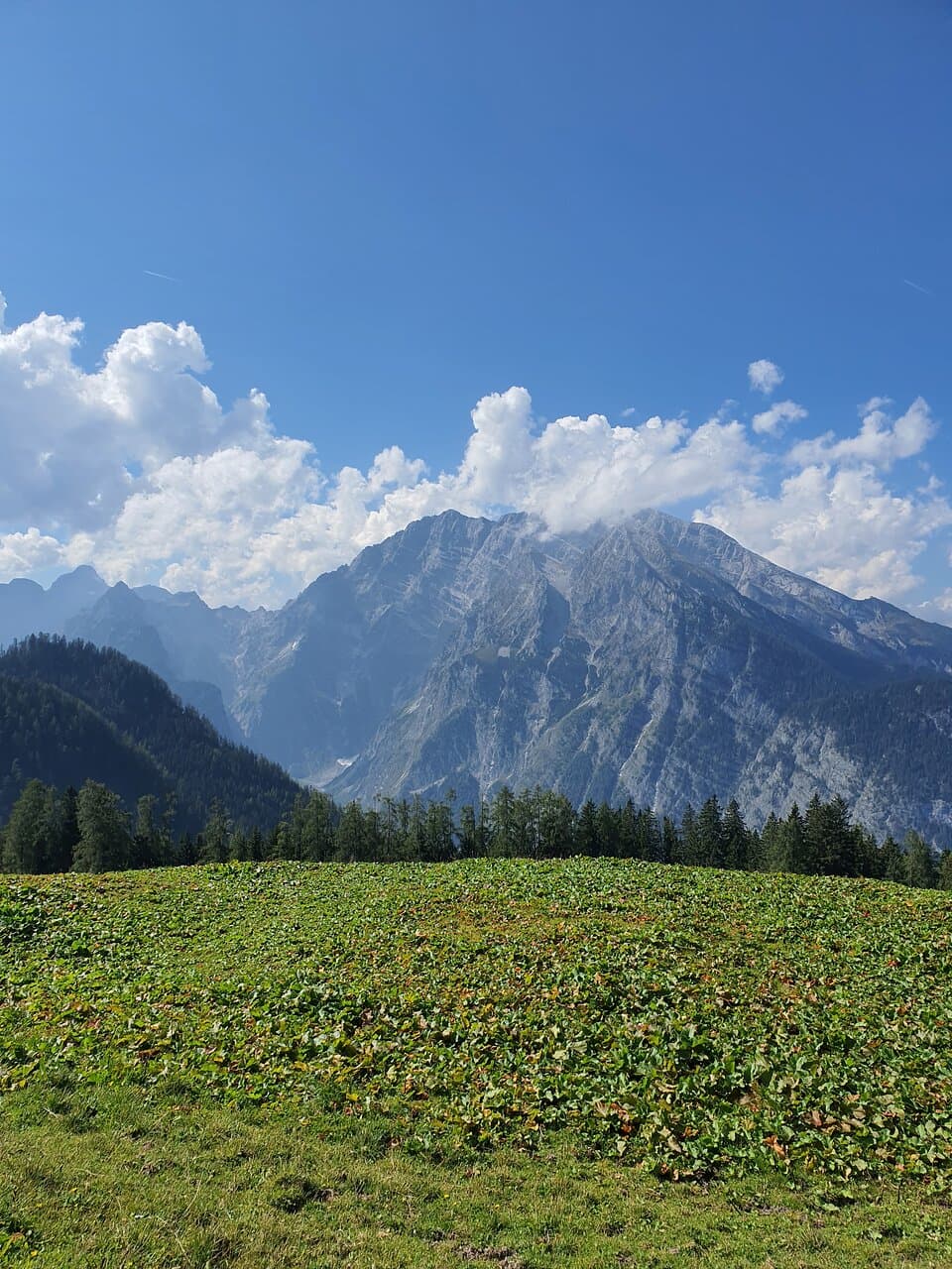 Priesbergalm