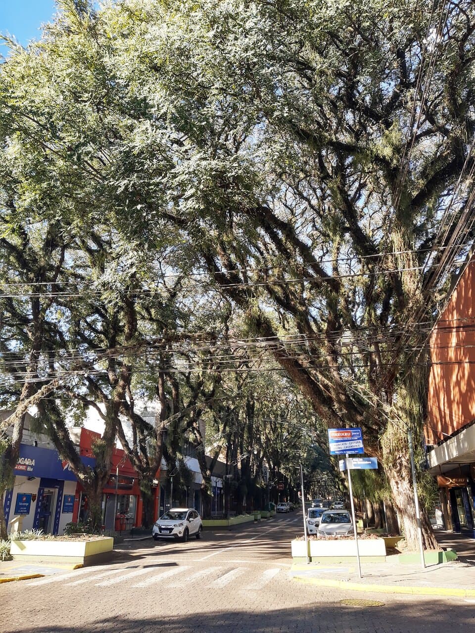 Túnel Verde Rua Marechal Floriano