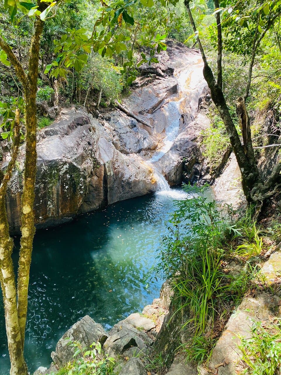 Finch Hatton Gorge