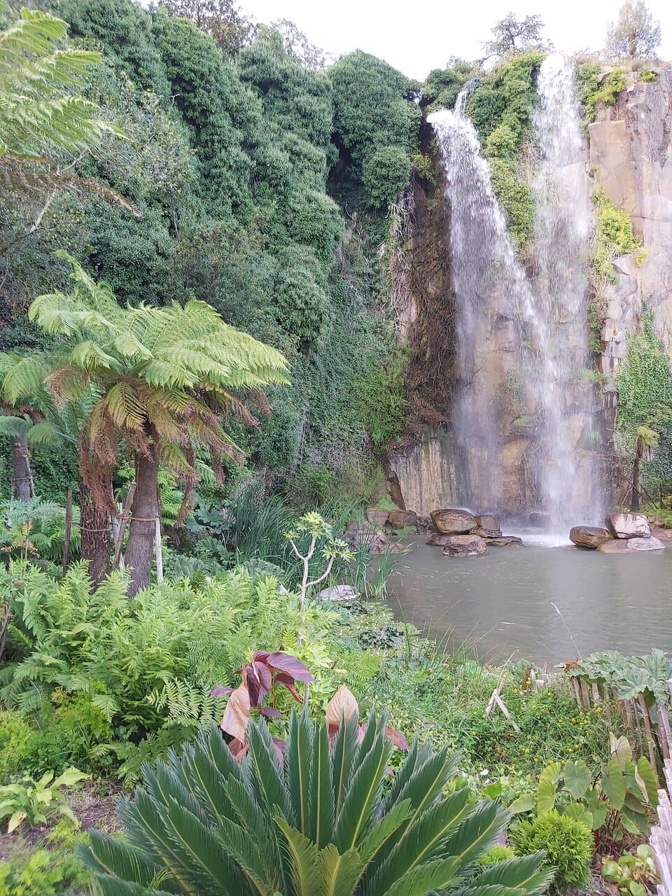 Kaskade på 25 m fald, eksotisk beplantning