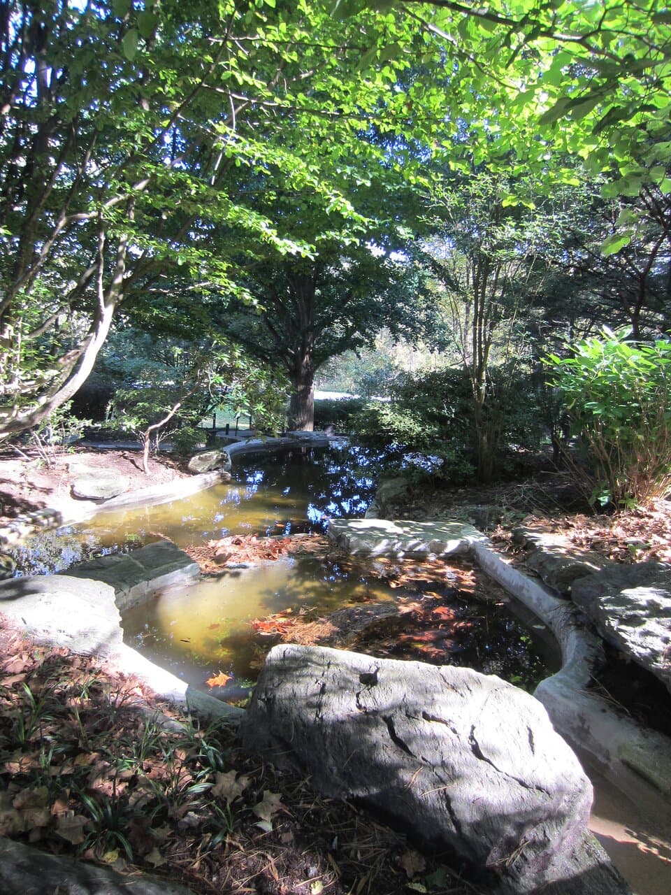 Fountain area.