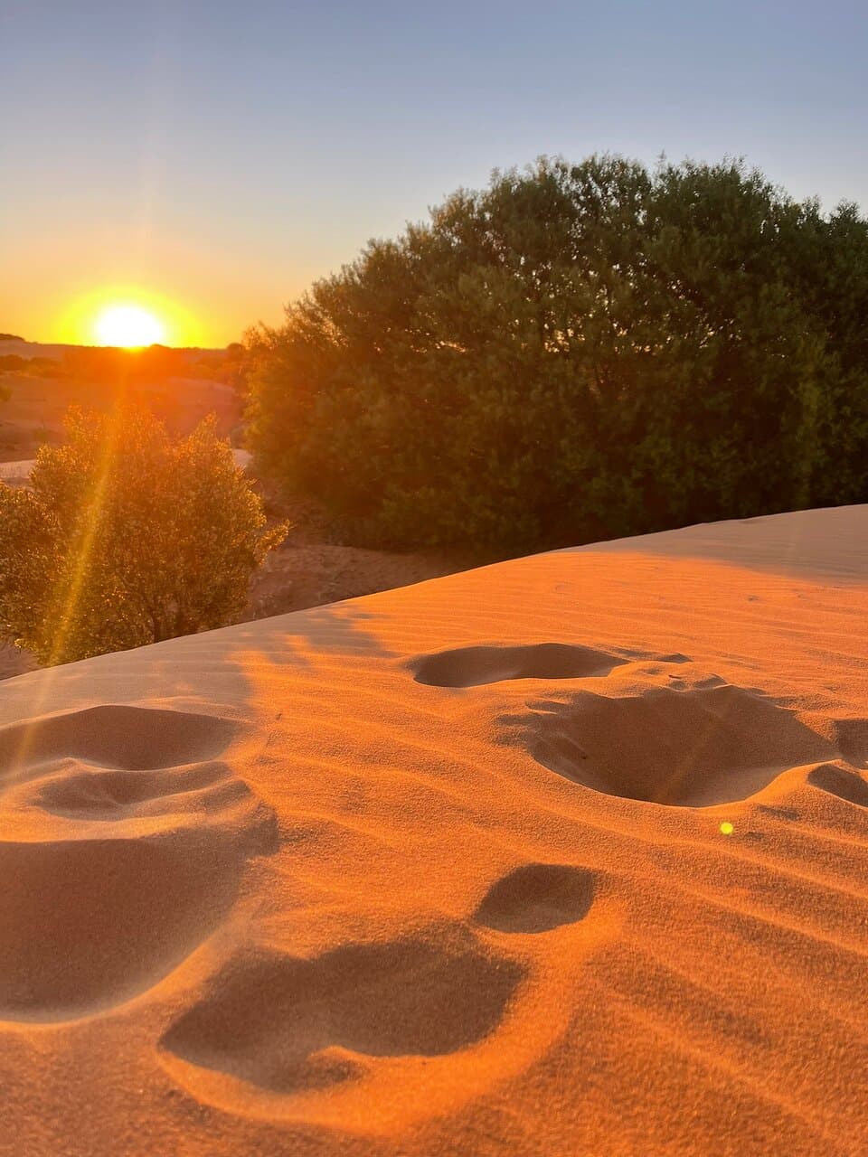 Perry Sandhills