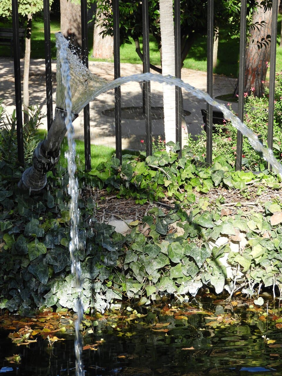 A modest water fountain