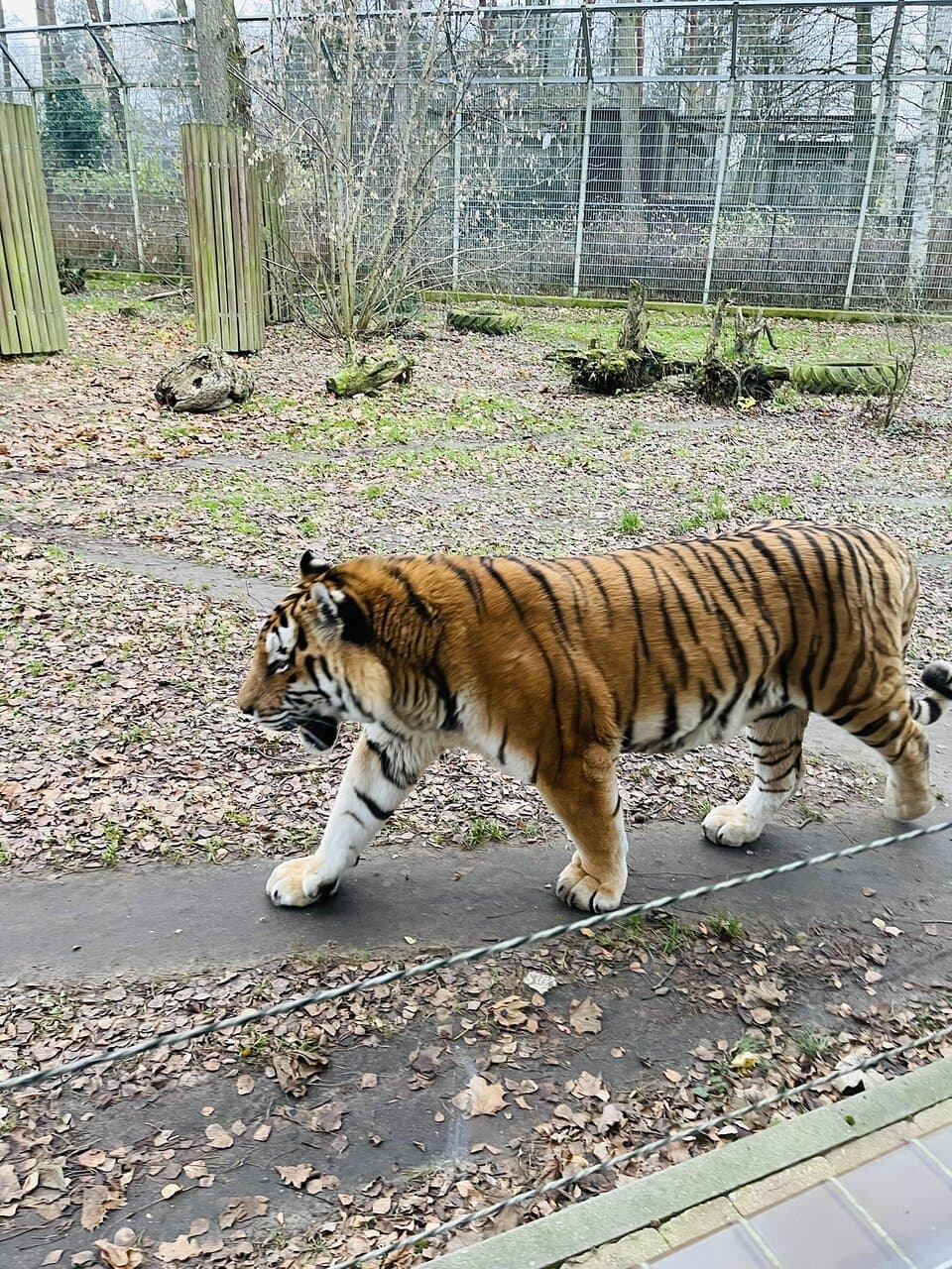 Bydgoszcz Zoo (Ogród Fauny Polskiej)