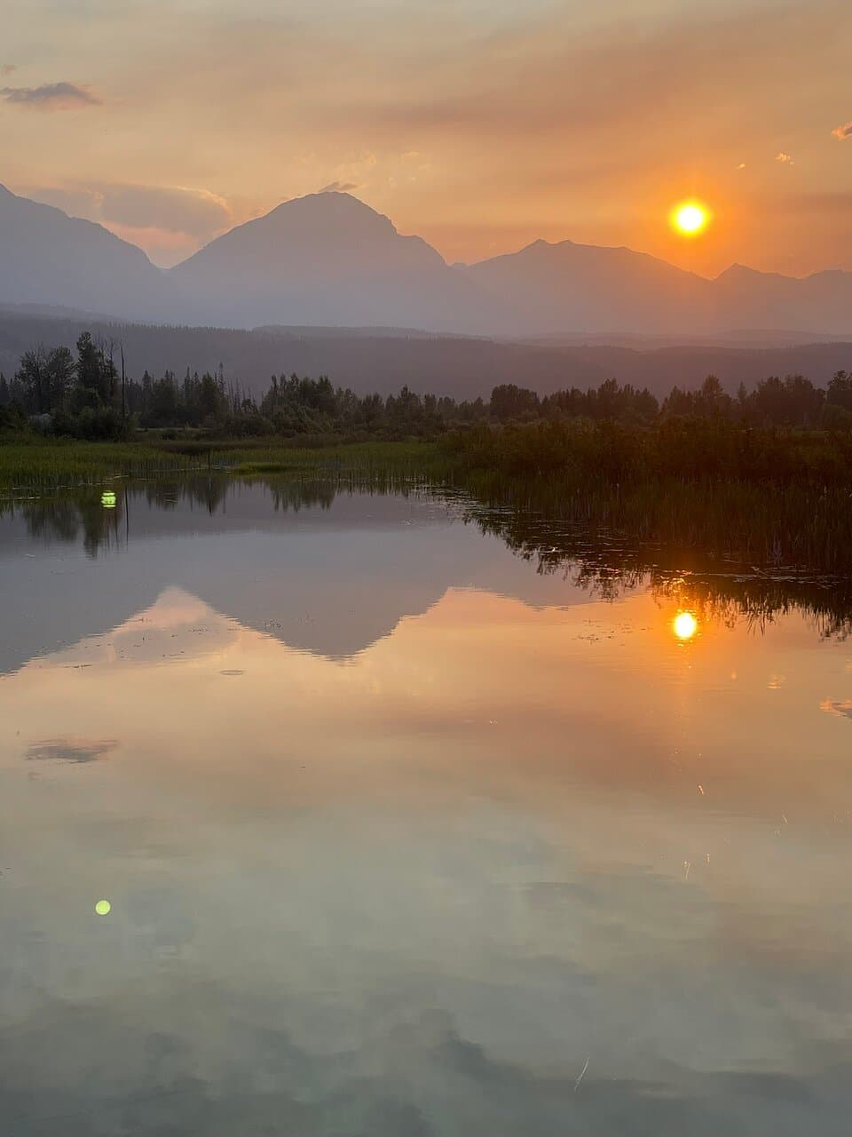 With a summer rod amazing photos, this is one of my favourites from Golden