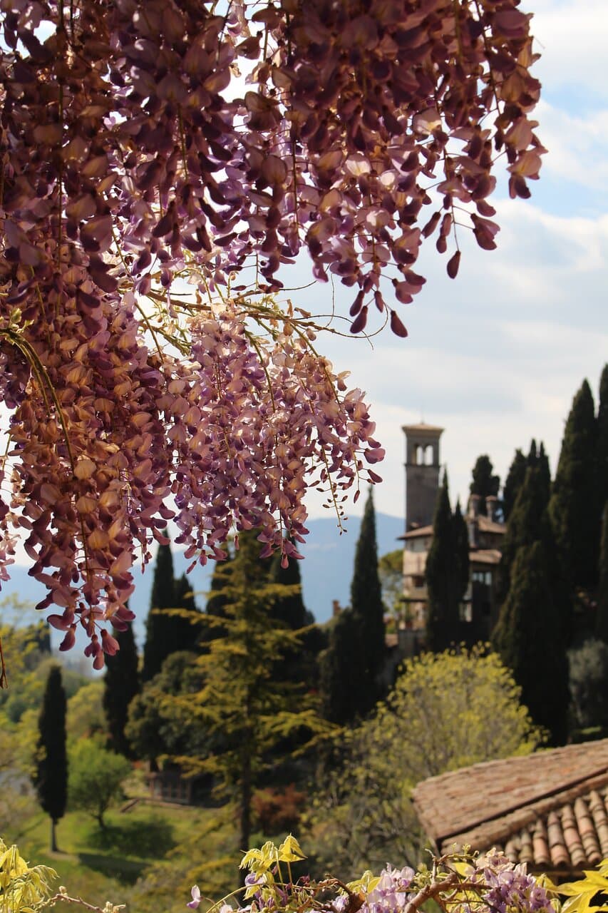 Villa Freya, Asolo 