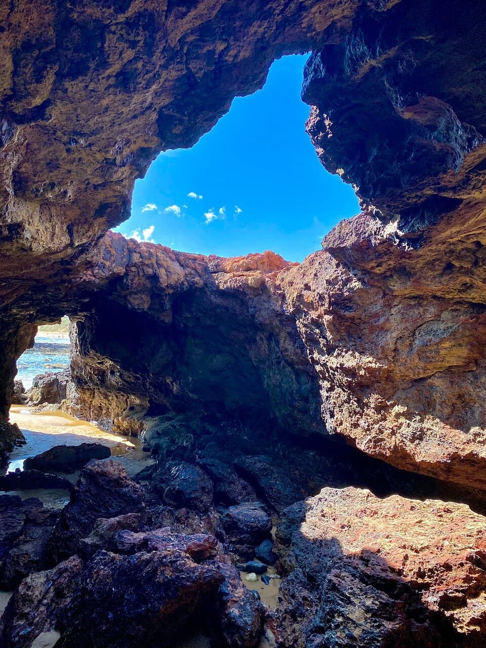 Forest Caves