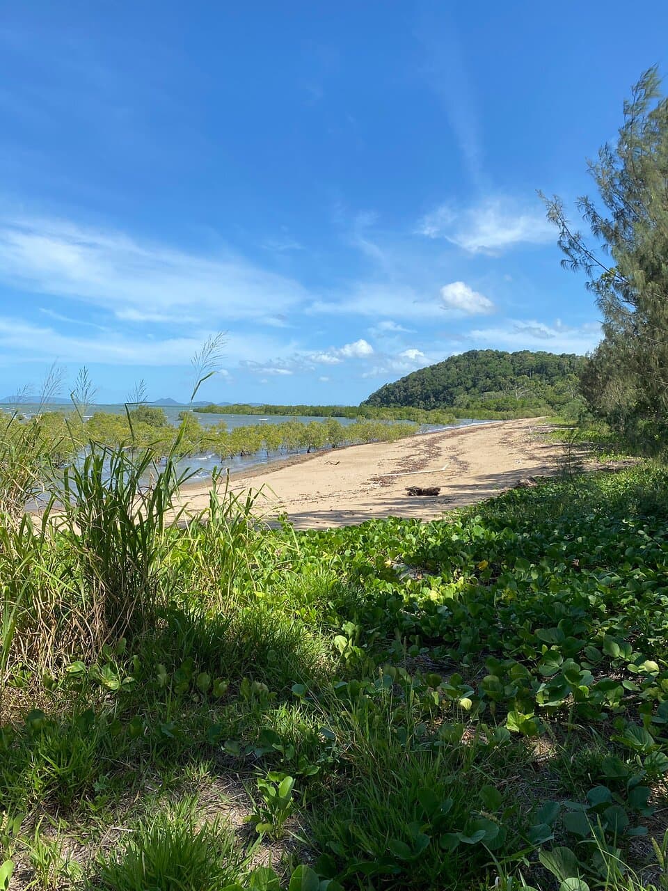 St Helens Beach