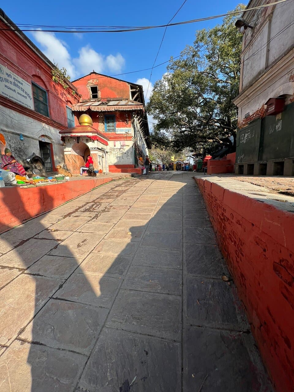Bhadrakali Temple