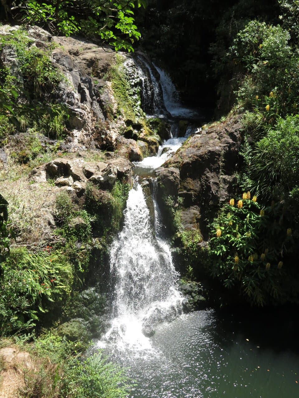 15 metre Raumanga Falls