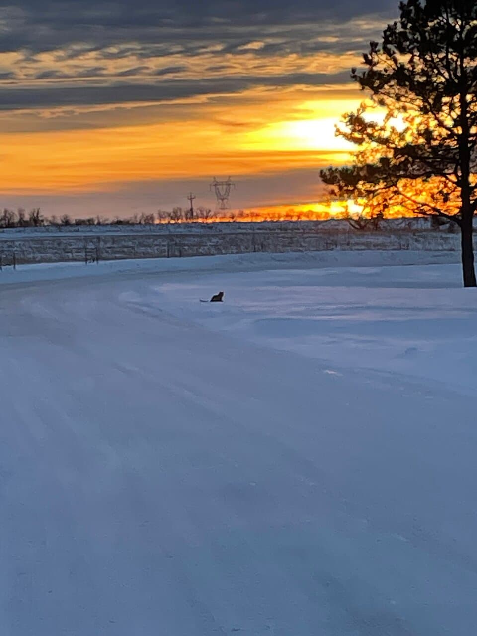 McDowell Dam Recreation Area