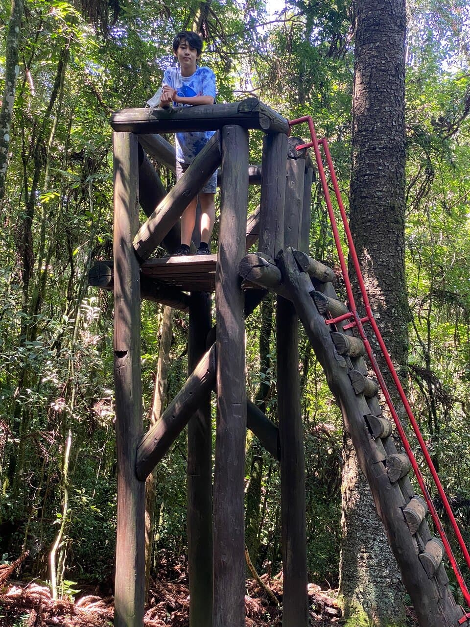 Bosque Reinhard Maack