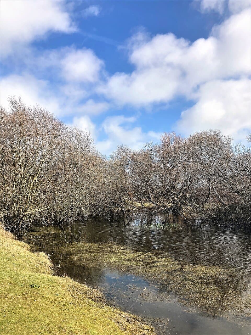 9.  Romney Warren Nature Reserve, New Romney, Kent (March 2022)