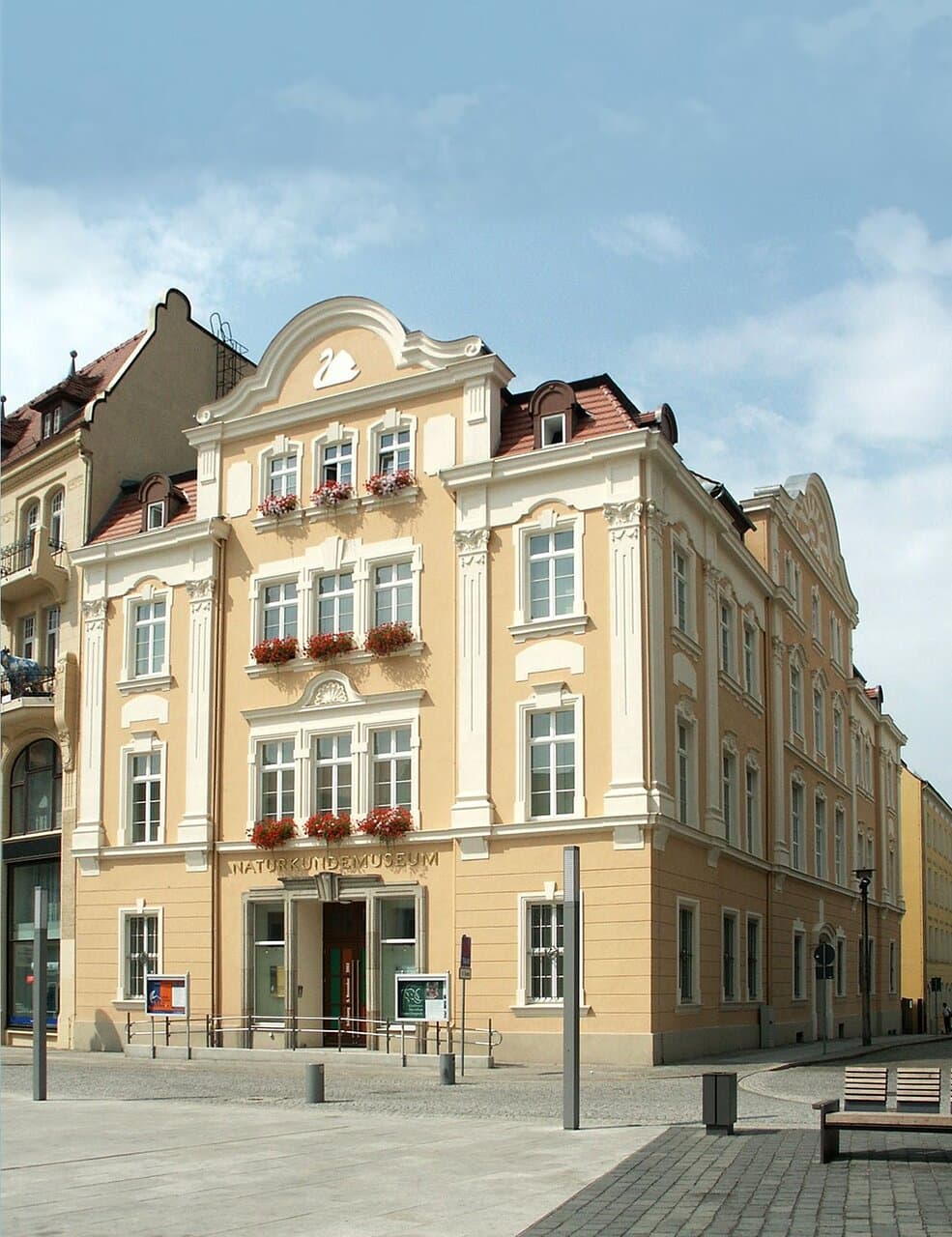 Das zentral gelegene Familienmuseum lädt zu einer Erlebnisreise von der Lausitz bis ins tropische Korallenriff ein. Die Besucher lauschen bei ihrem Spaziergang dem Konzert einheimischer Singvögel und begegnen Tieren wie Wolf, Seeadler und Fischotter. Auf Ihrer Regenwaldexpedition treffen sie hautnah auf Menschenaffen und andere exotische Tiere. Ein besonderes Schmuckstück des Museums ist der Lebendtierbereich. Wechselnde Sonderausstellungen runden das vielseitige Angebot ab.