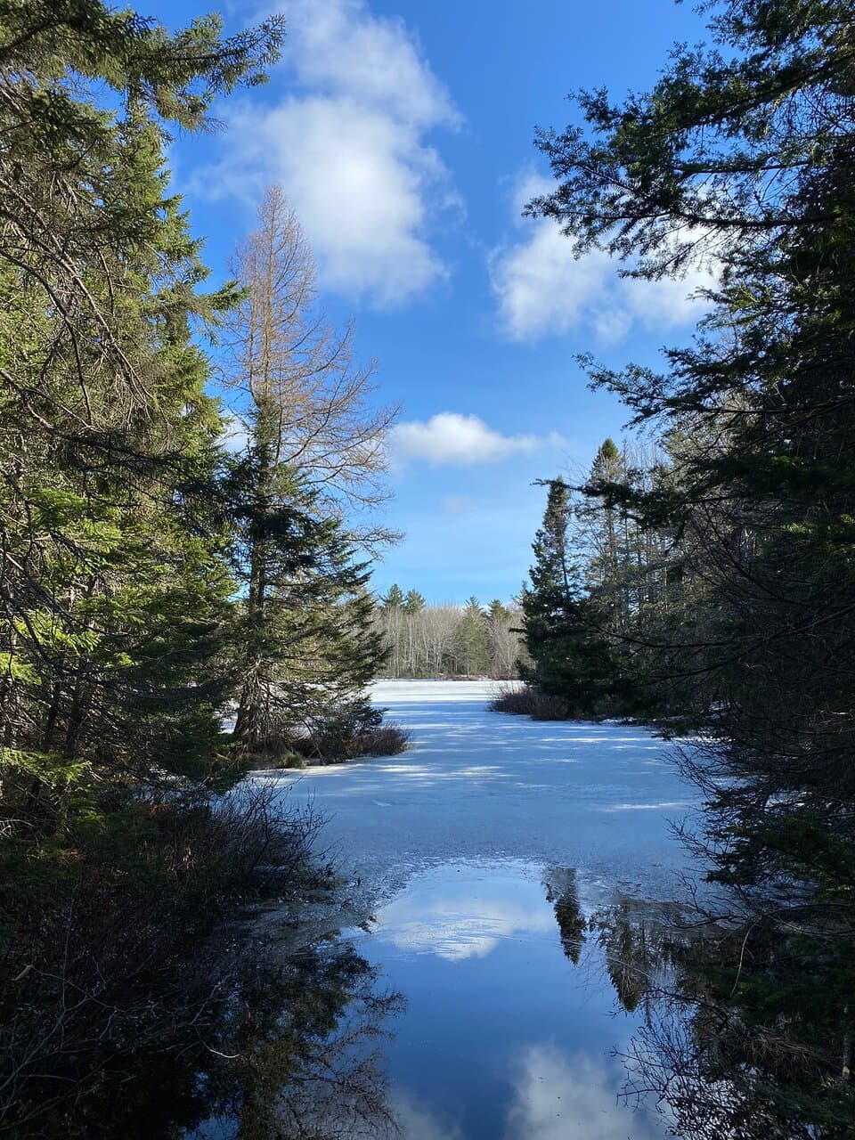 Belle balade en pleine forêt