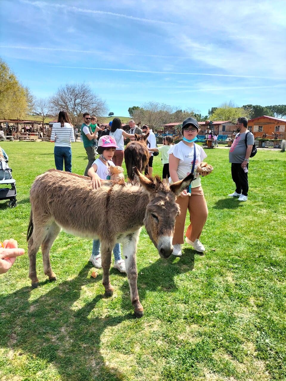Burrolandia