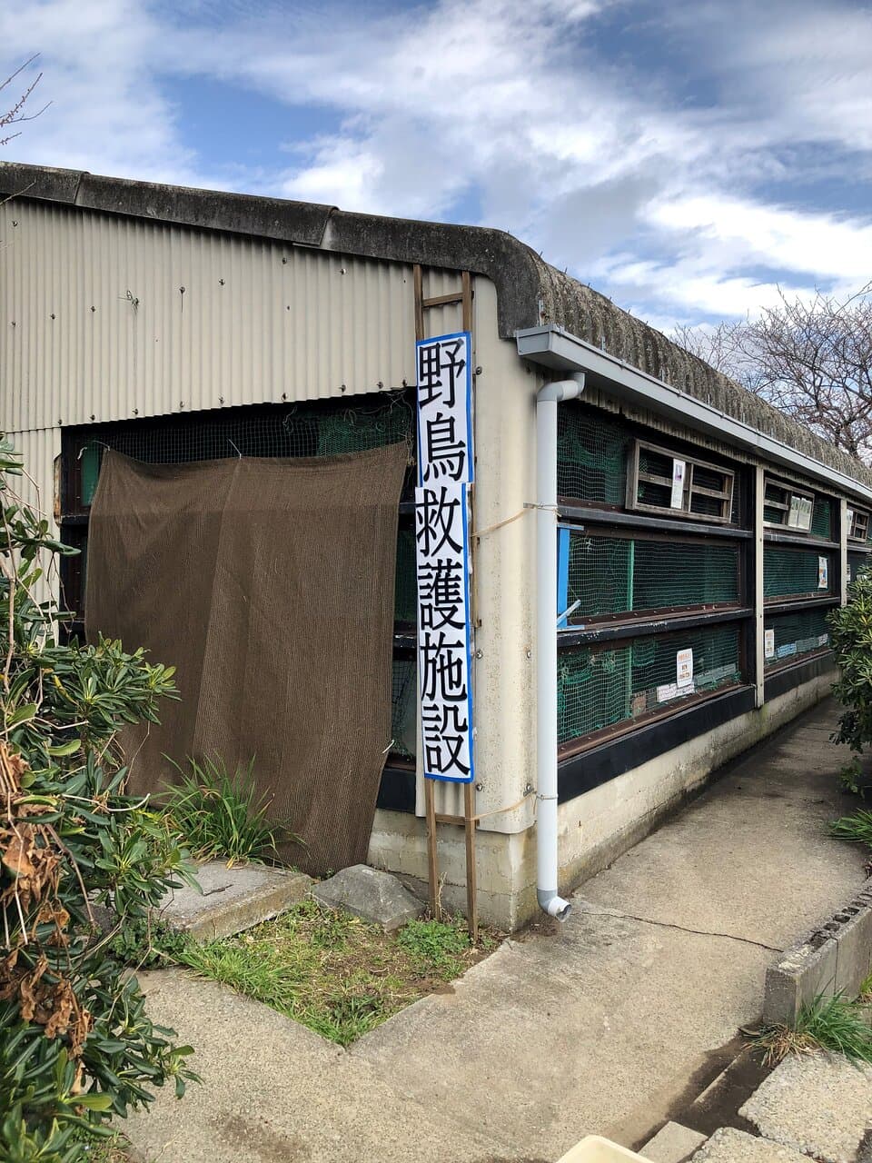 野鳥病院の外観。療養中の鳥たちを覗くことができます。