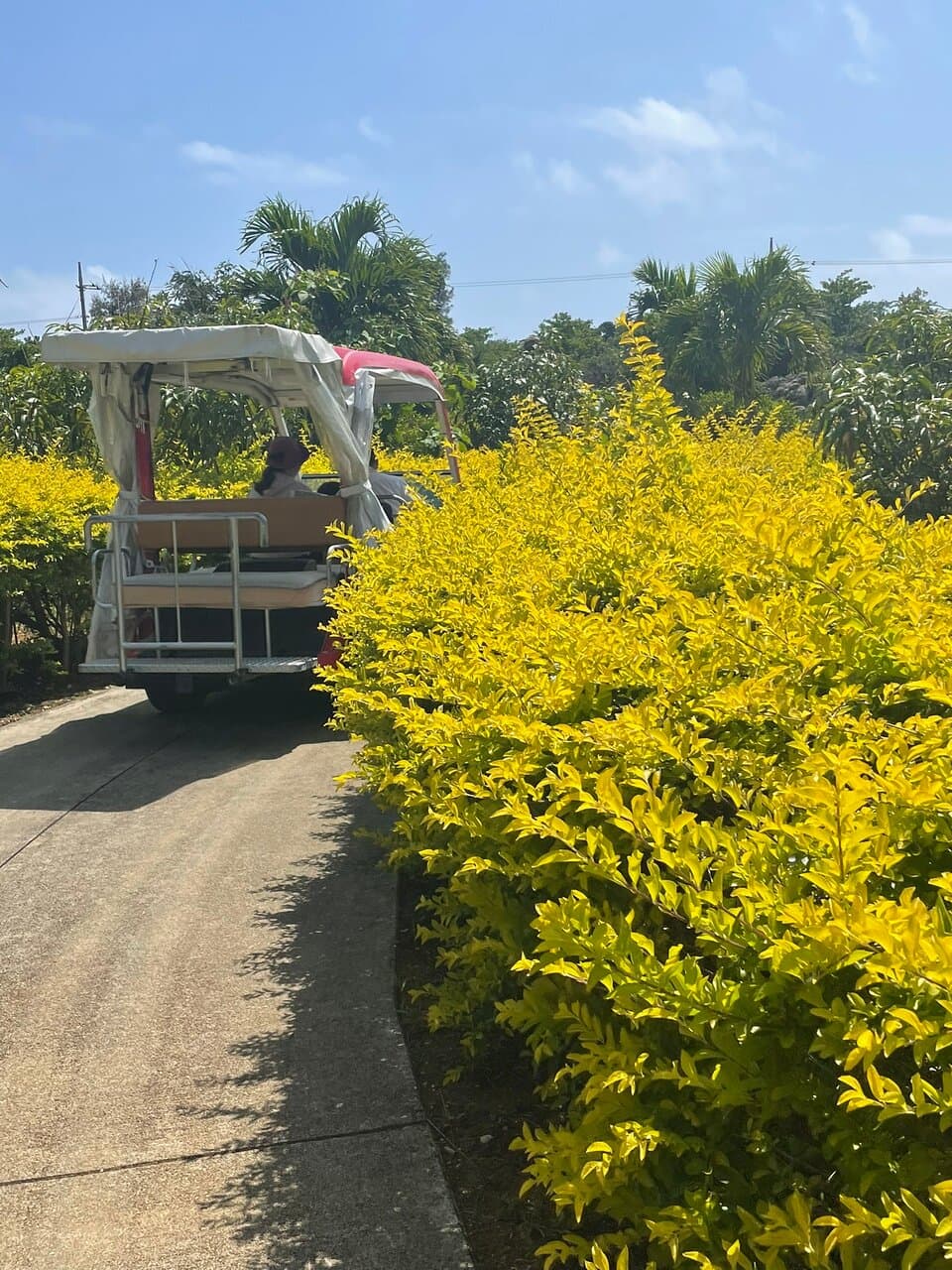 Maipari Tropical Fruit Park Miyakojima