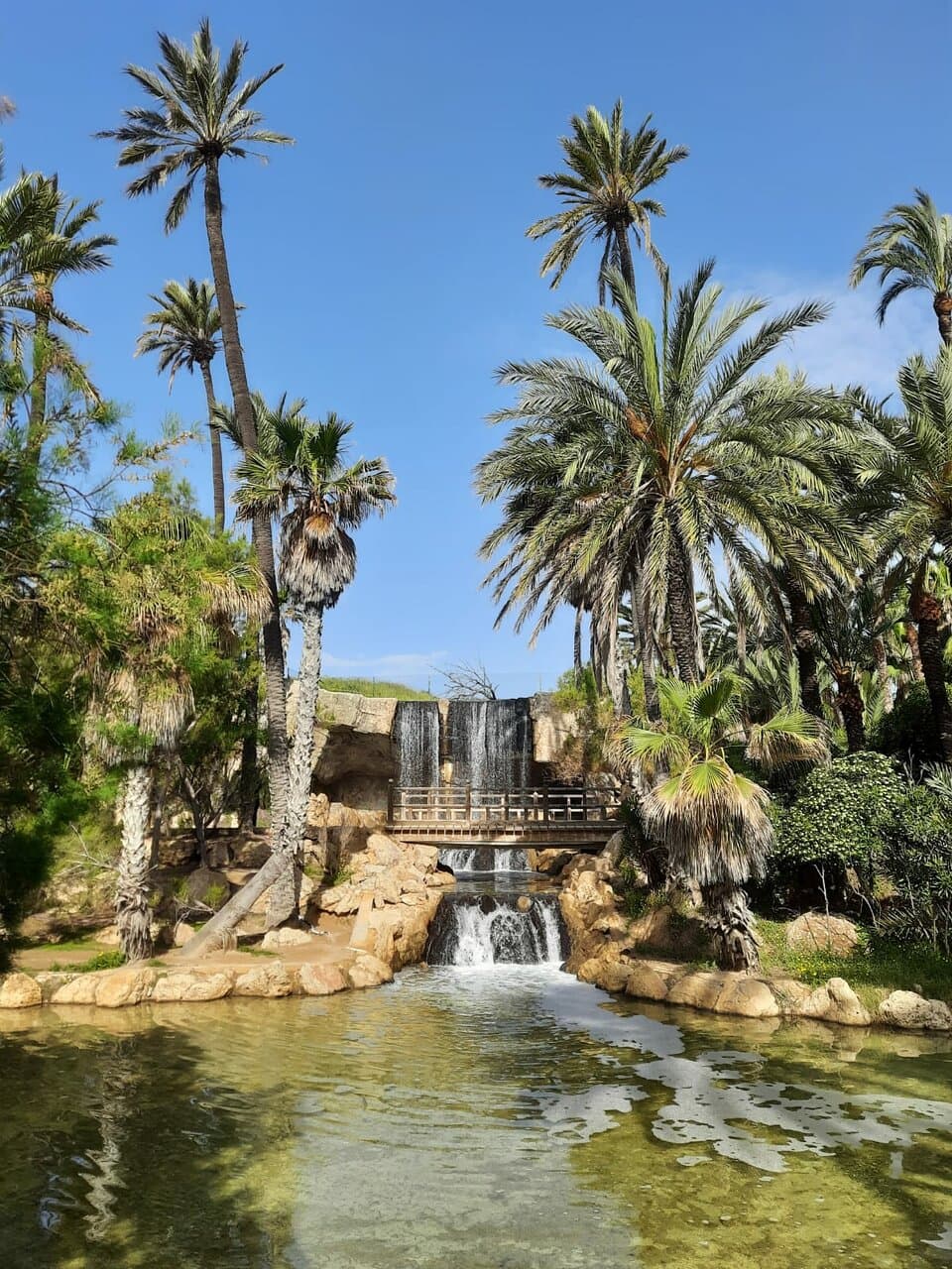 El Palmeral Elche