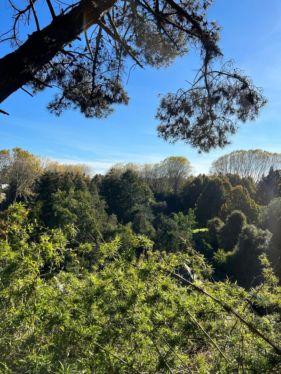 Parque Jorge Alessandri Coronel