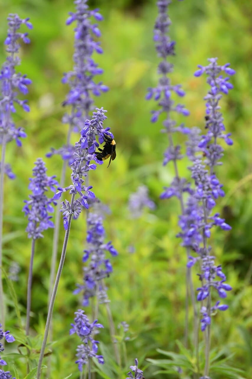 Berry Springs Park and Preserve