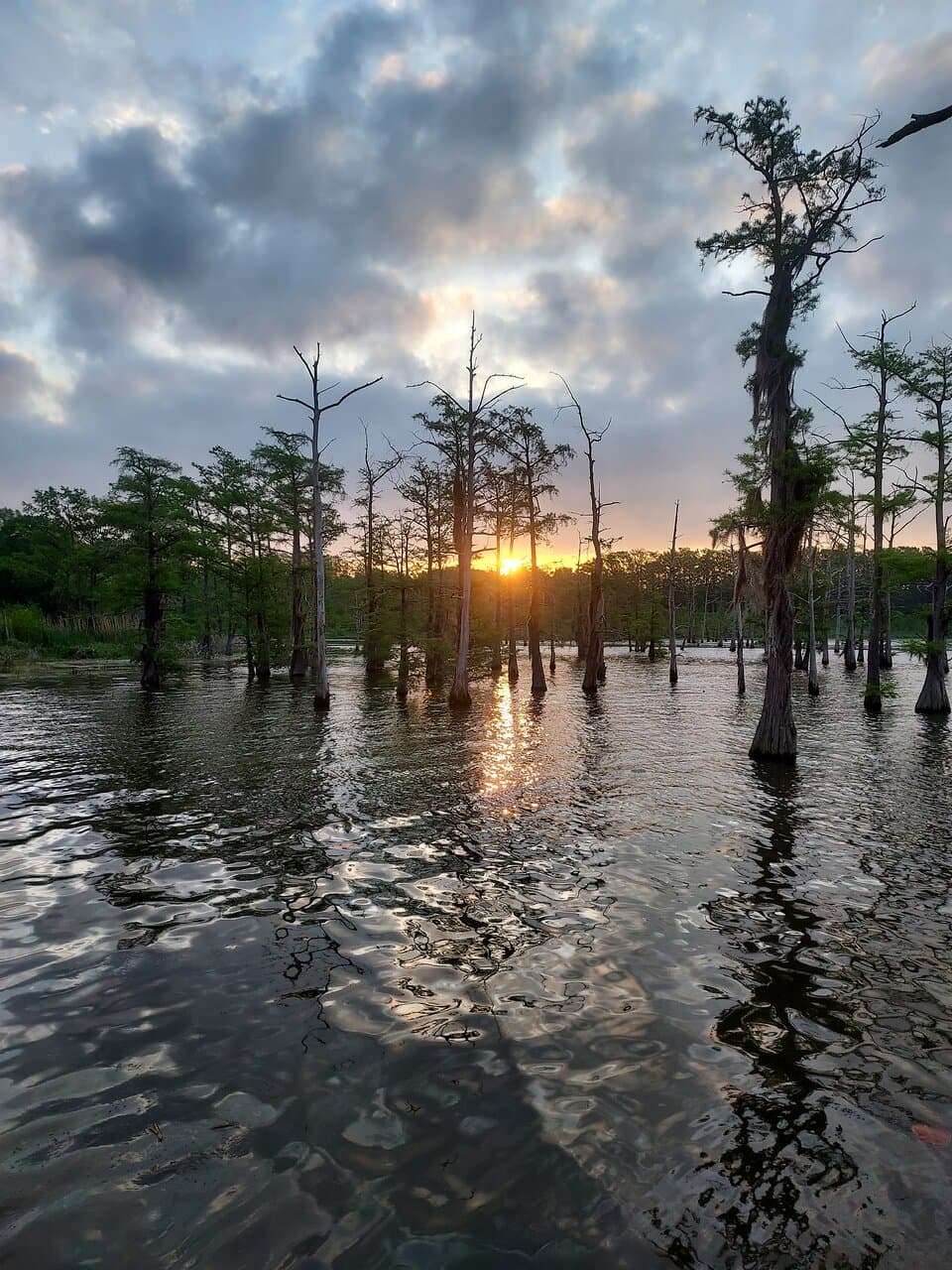 Black Bayou Lake National Wildlife Refuge