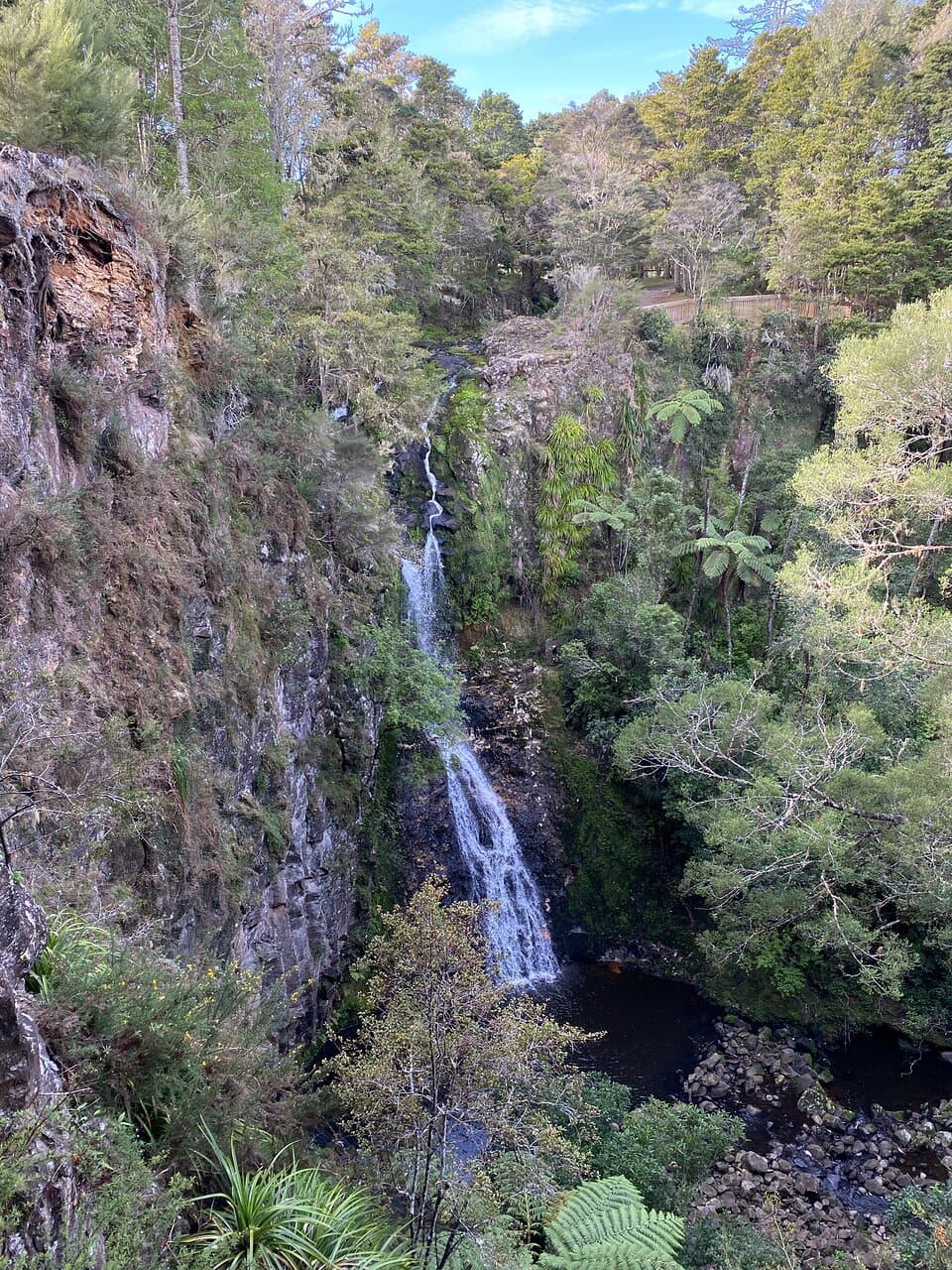 A H Reed Memorial Park and Canopy Walkway