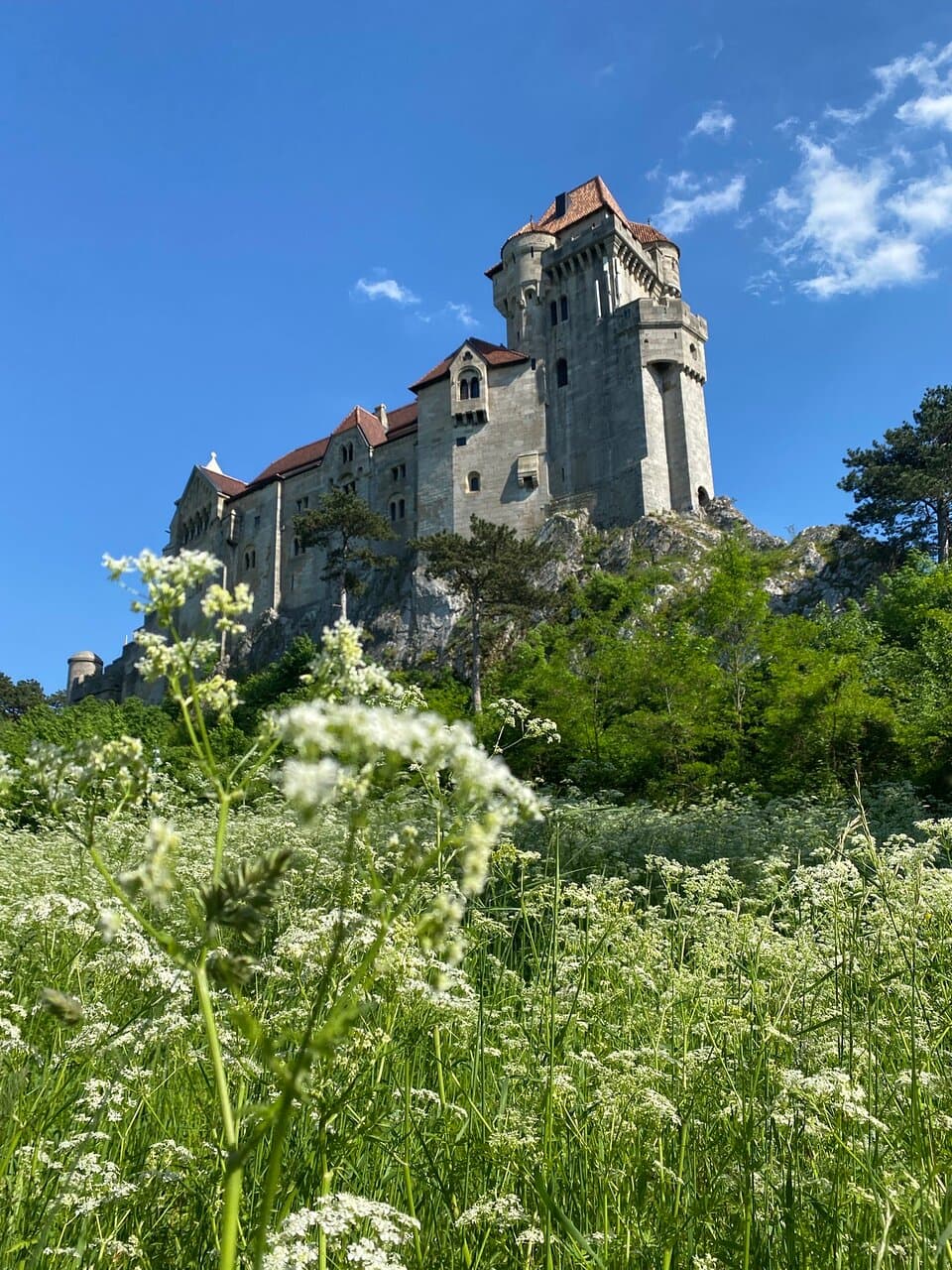 Burg Liechtenstein Maria Enzersdorf