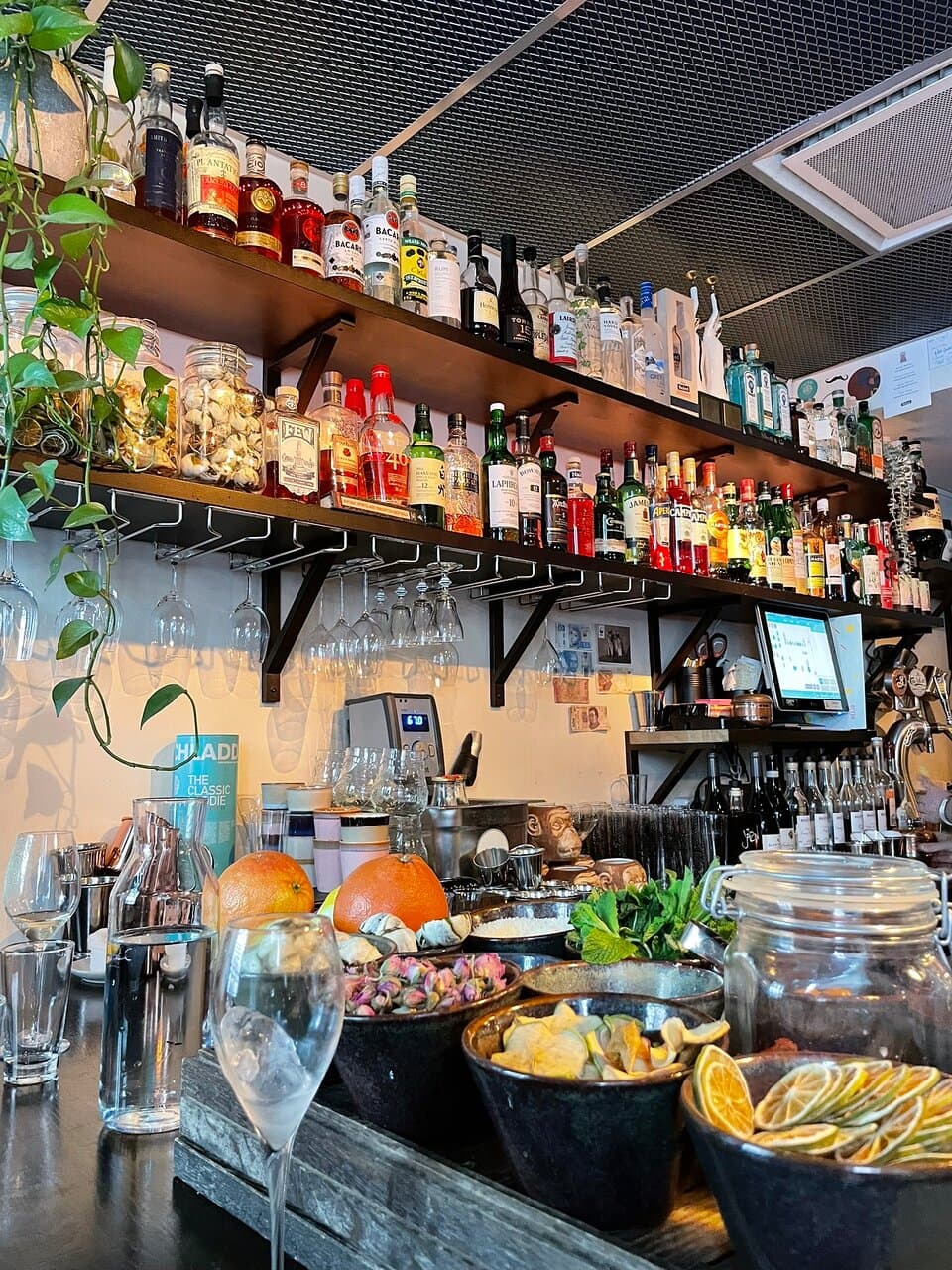 A bar called Gemma