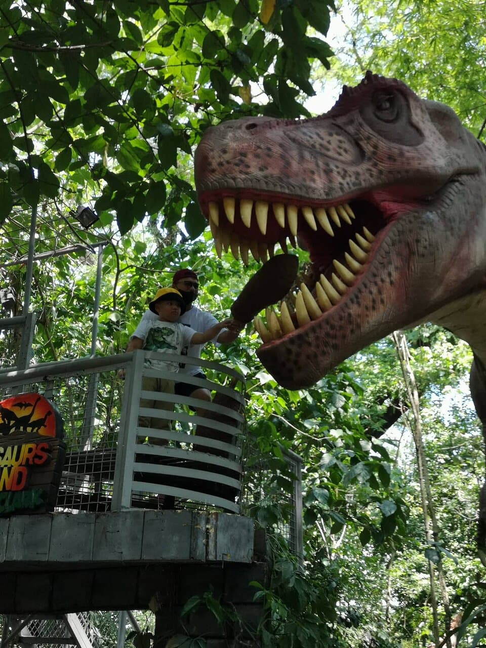 Feeding the T Rex