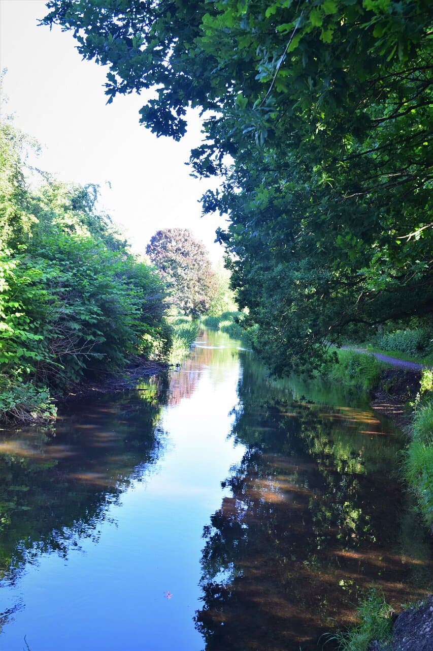 A view of the River Crane at that runs along one side of Hounslow Heath
