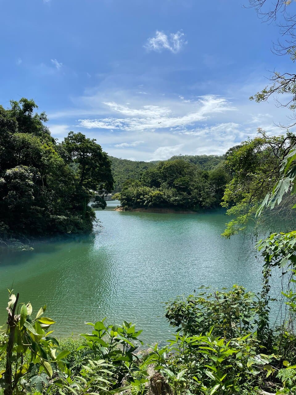 Picturesque nature
