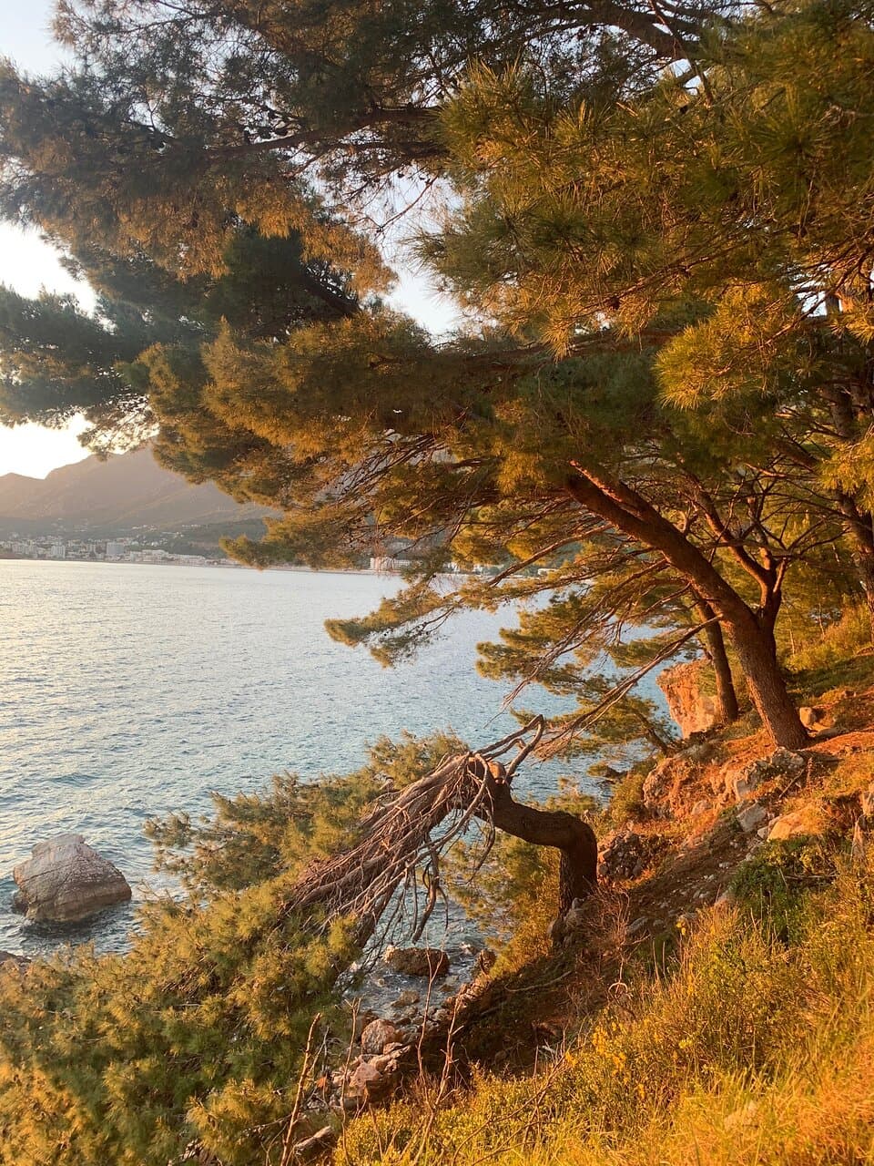 Ratac Monastery Ruins Montenegro