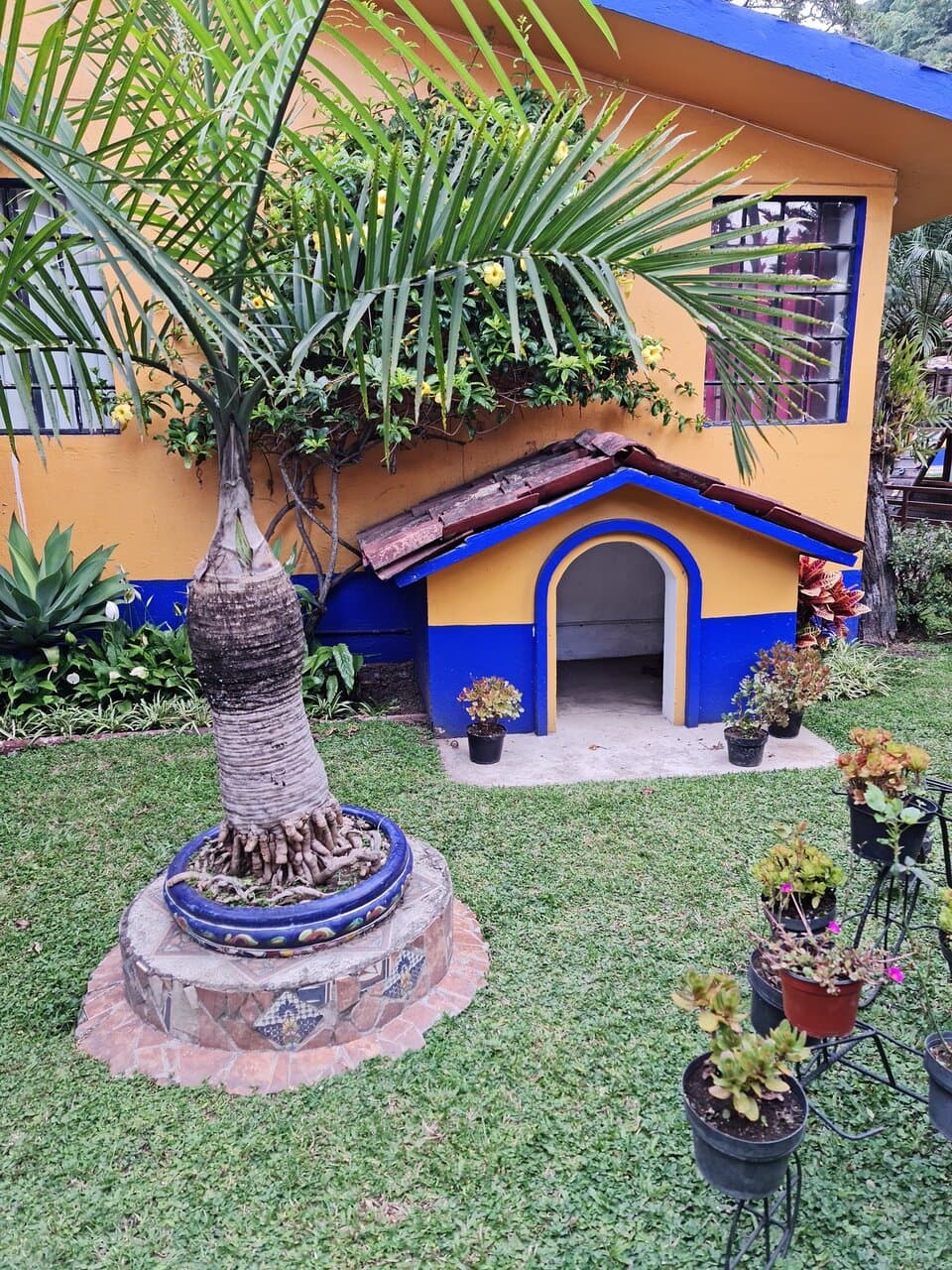 Momentos Quinta la Escamela