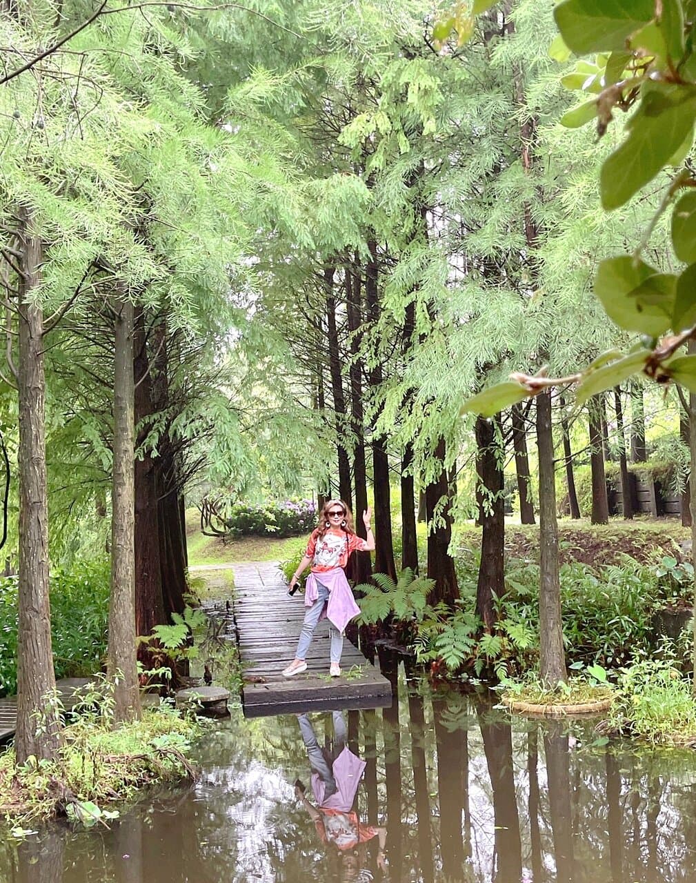 陽明山真愛桃花源