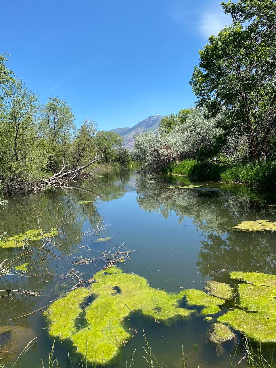 Ogden Nature Center