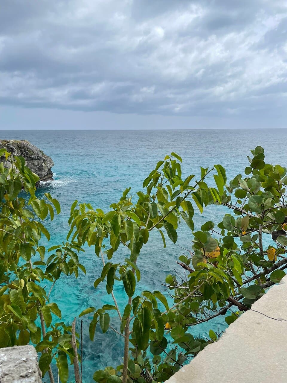 LTU Cliff Bar and Restaurant