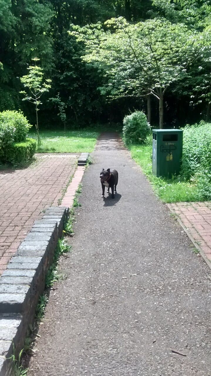 Wolverton Secret Garden