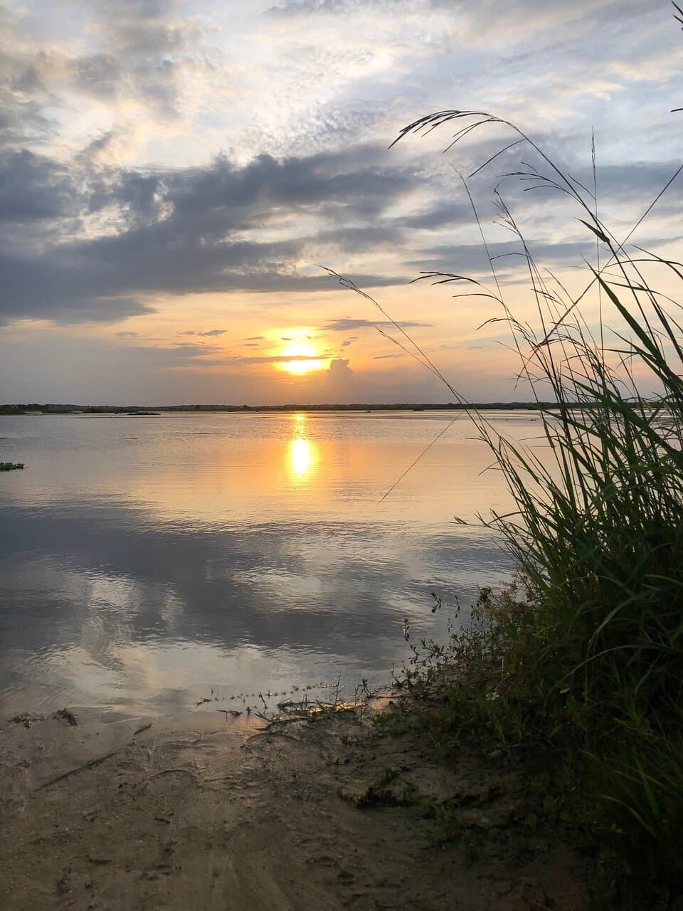 Sunset.  You must watch this.  They're very beautiful.