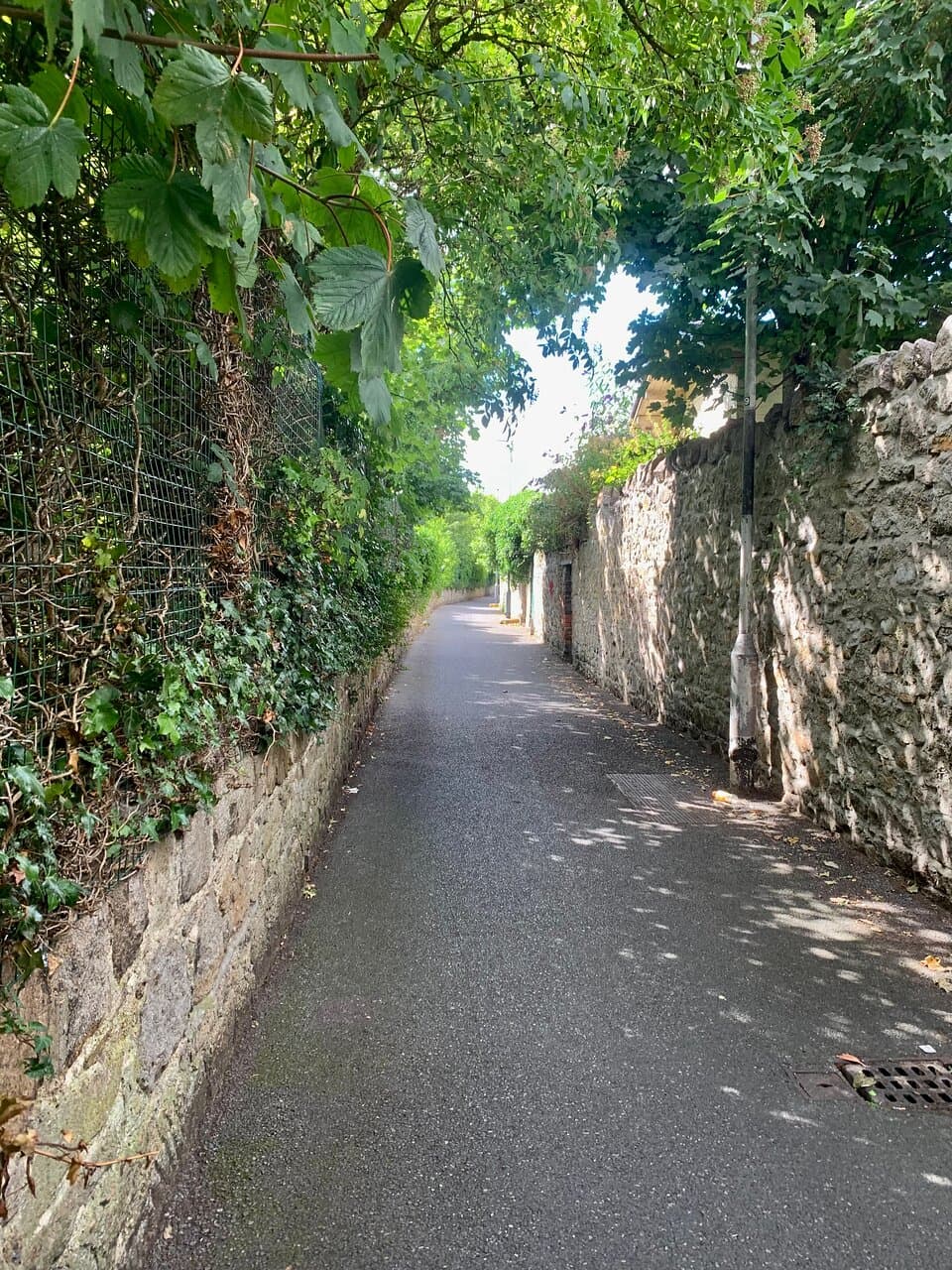 Peaceful walk....