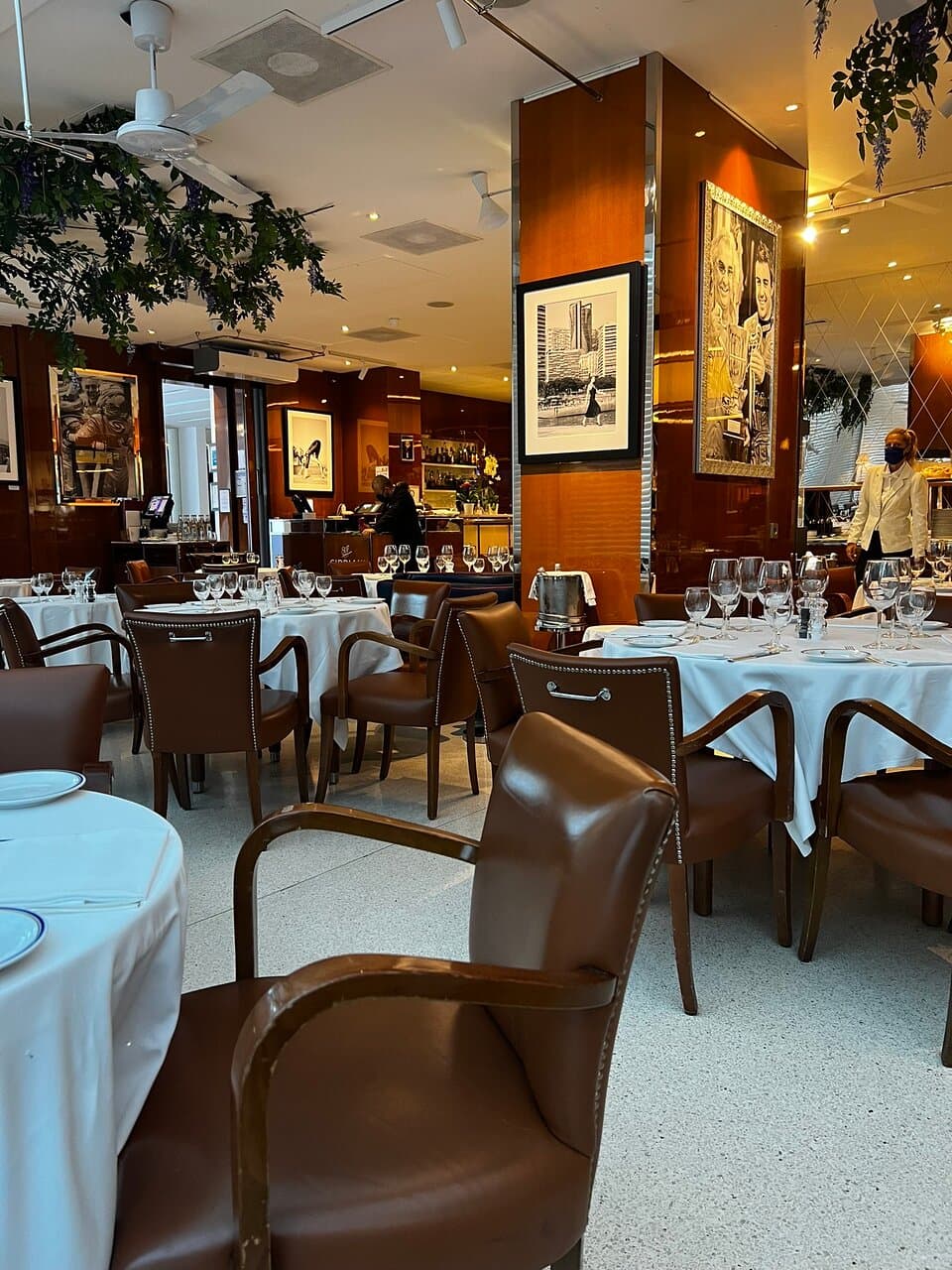 Cipriani Monte Carlo