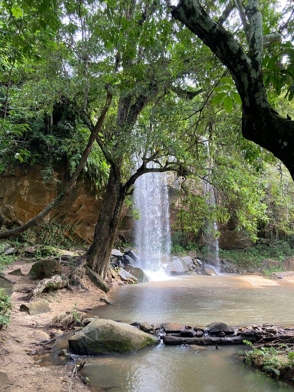 Shimba Hills National Reserve