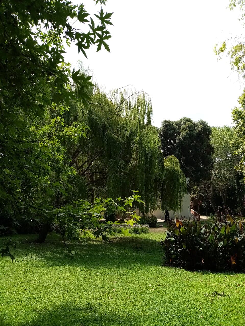 Nel Parco di Villa Adele ad Anzio. Agosto 2022