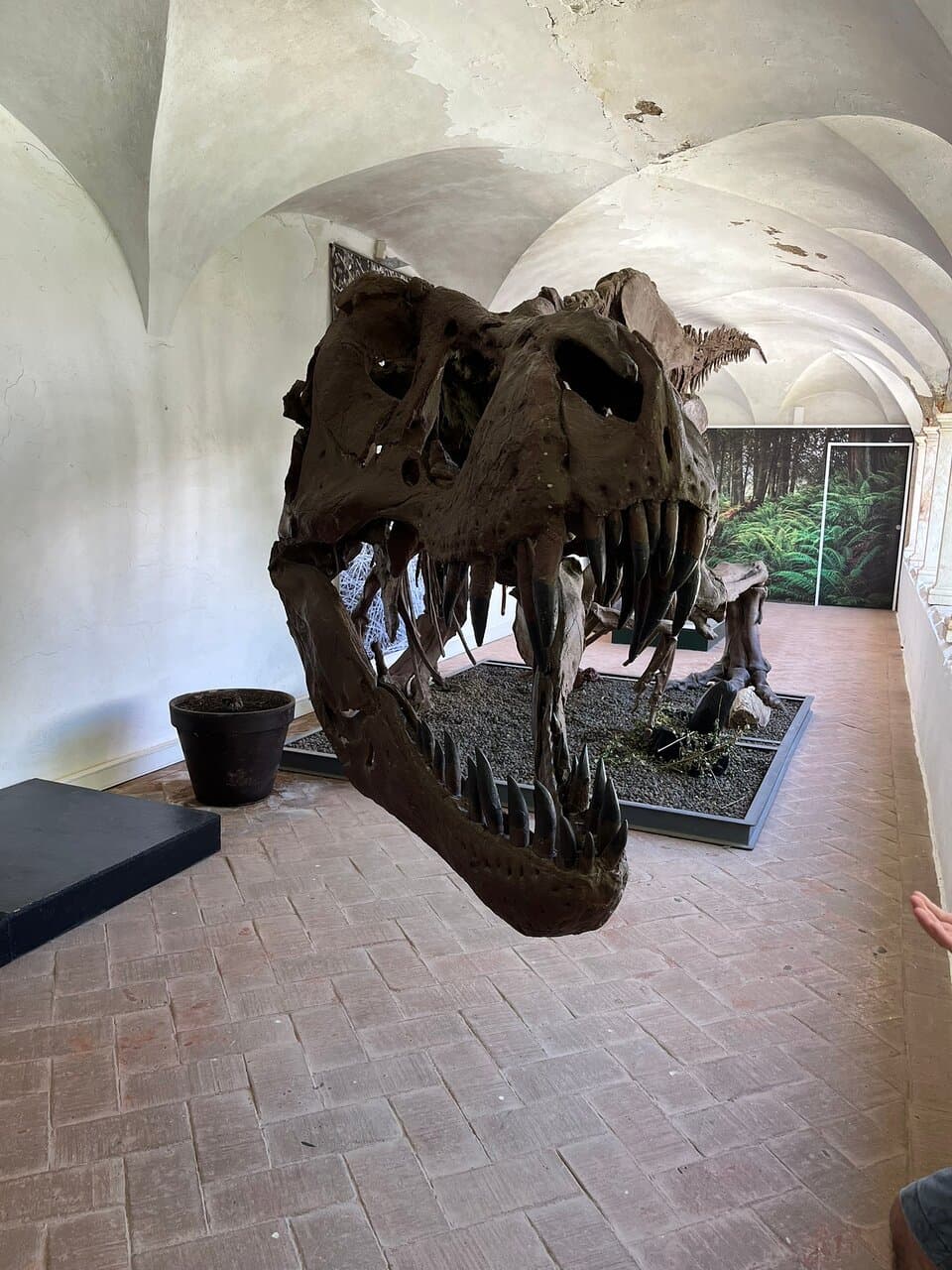 Centro Ciência Viva de Estremoz Convento das Maltezas