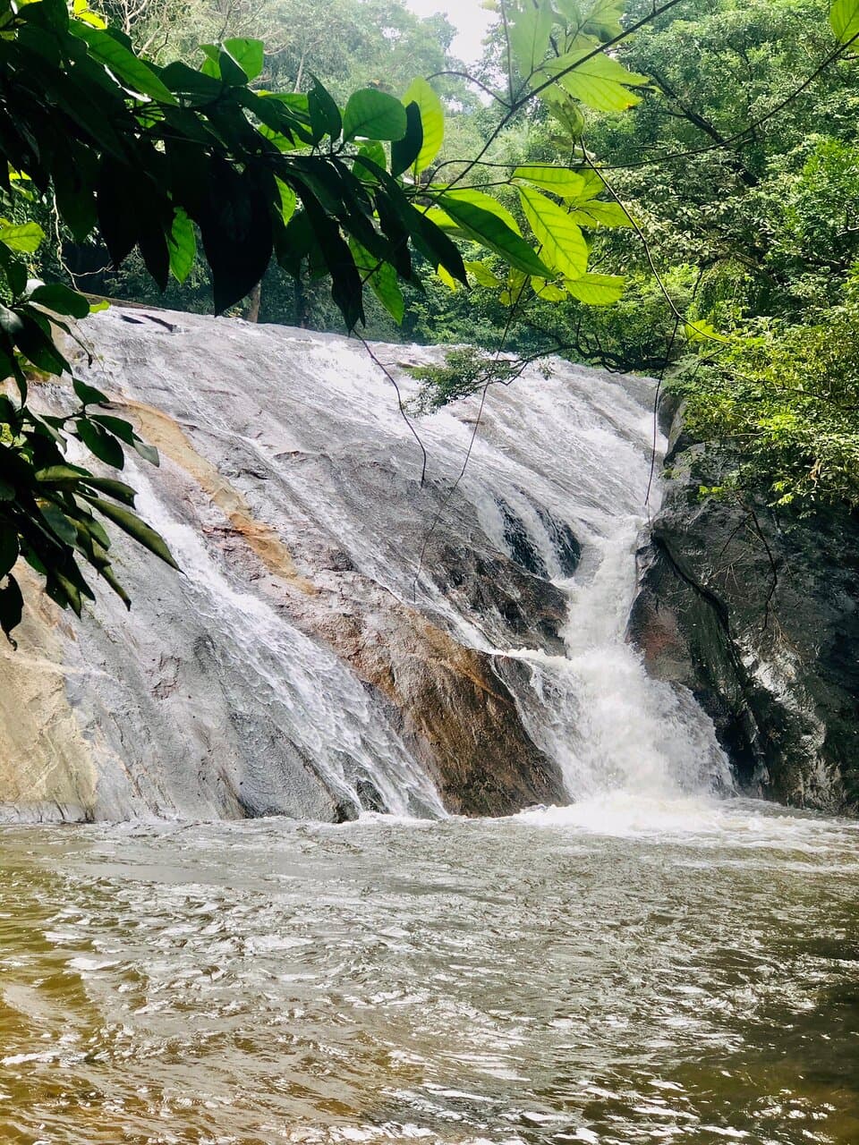 Dhoni Waterfalls Palakkad