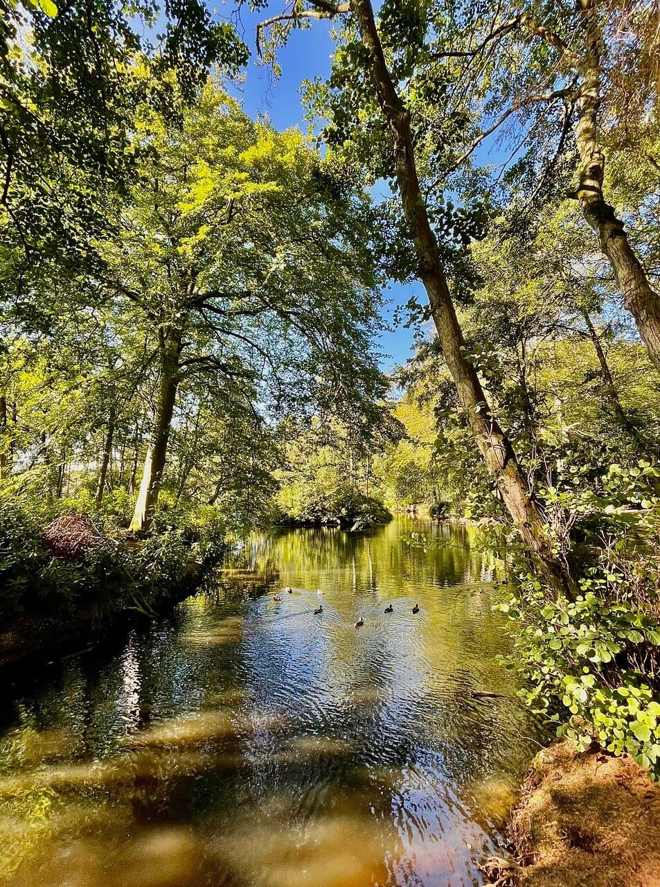 “ Allow nature’s peace to flow into you as sunshine flows into trees.” - John Muir