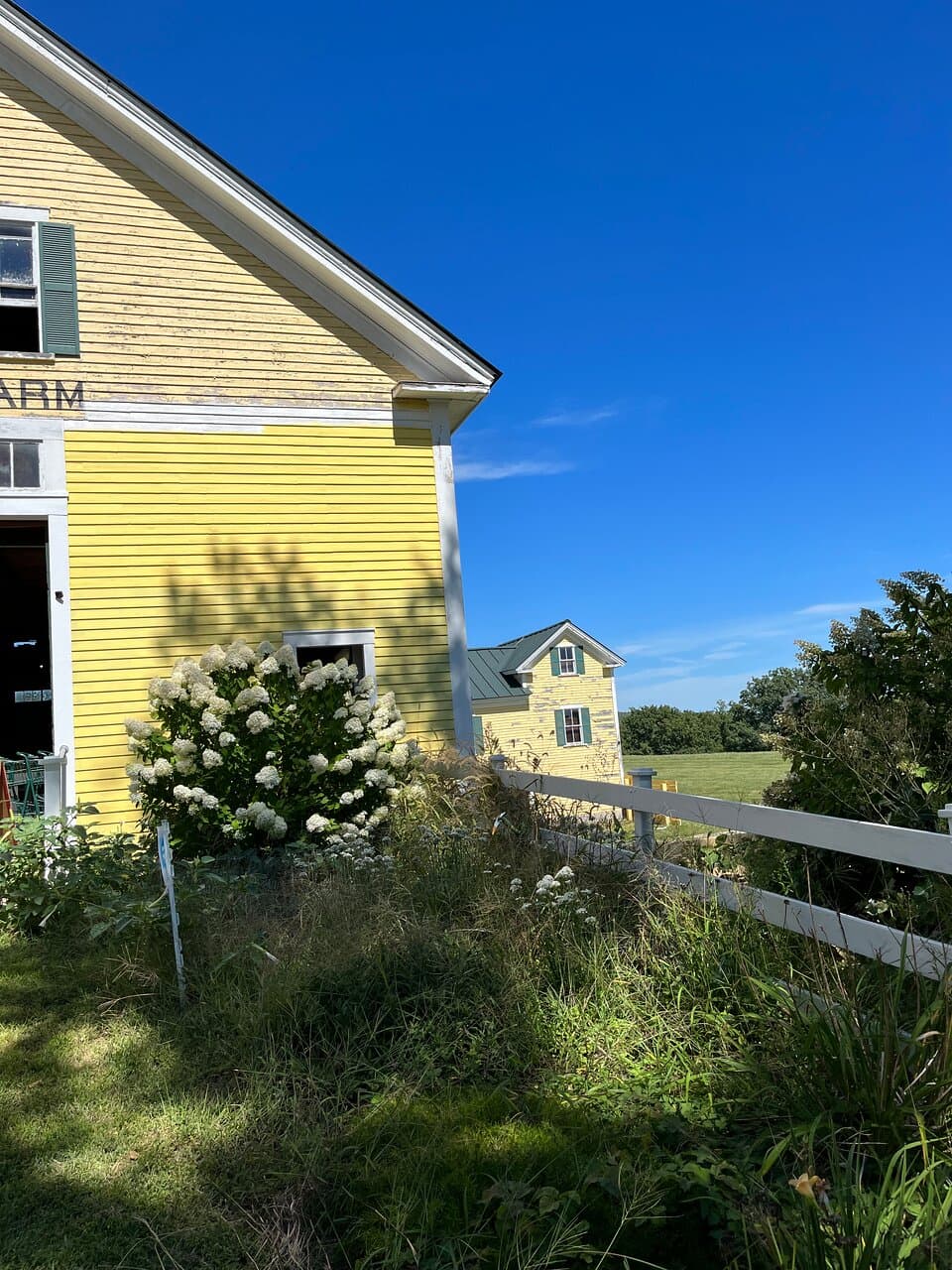 Dimond Hill Farm