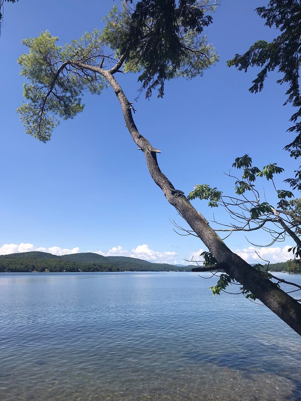 Ahern State Park
